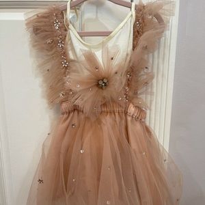 Girls Petite Adele Mauve tutu dress with matching cami